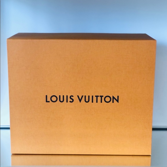 Louis Vuitton Other - Louis Vuitton Box, Dust Bag & Pillow